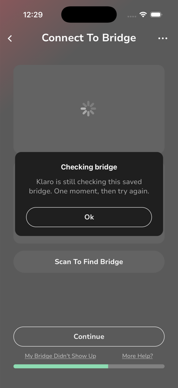 Checking bridge holding dialog